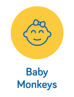 Baby_monkeys