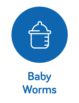 Baby_worms