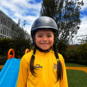 Casco importado